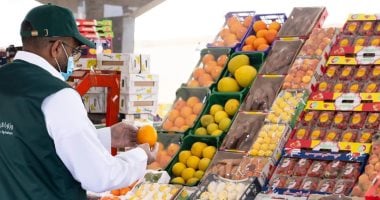 وزارة البيئة السعودية تنفذ 6.281 جولة رقابية على المسالخ لضمان جاهزية التشغيل برمضان