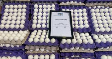 طرح كرتونة البيض بـ115 جنيها فى معرض أهلا رمضان الرئيسى بمدينة نصر
