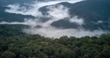 تبخر الأنهار الطائرة.. تقرير يحذر من تهديد جفاف الأمازون للحياة فى القارة