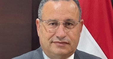 التعليم العالى تنشر السيرة الذاتية للدكتور عبدالعزيز قنصوة 