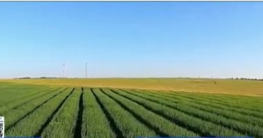 أستاذ تنمية مستدامة: الأمن الغذائى يواجه 6 تحديات كبرى