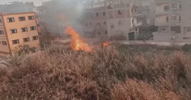 حريق بأشجار مجاورة لمدرسة ثانوية بنات بالشرقية وصرف الطالبات من مدرسة