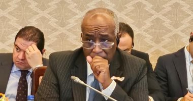 السفير محمد أبو بكر نائبا لوزير الخارجية للشئون الافريقية.. حاصل على الماجيستير من جامعة نوتردام الأمريكية.. يتمتع بخبرات دبلوماسية واسعة في ملف ليبيا.. ساهم بالترويج لتوسيع قاعدة تصدير الصناعات المصرية لليابان