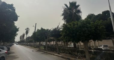 مناخ متقلب.. رياح مثيرة للأتربة تضرب محافظة بورسعيد.. فيديو
