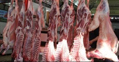 اللحمة بكام؟.. أسعار اللحوم فى كفر الشيخ الجمعة 13 فبراير 2026      