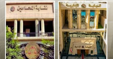 النيابة الإدارية تشرف قضائيا على إعادة المرحلة الثانية لانتخابات المحامين الفرعية