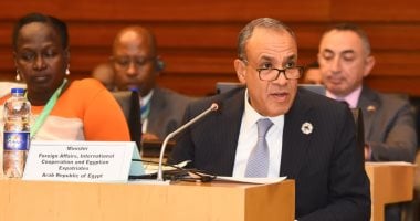 وزير الخارجية يجدد التزام مصر بدعم استرداد التراث الأفريقى