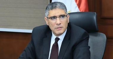 ضبط 2767 قضية تموينية خلال شهر فى الجيزة بإجمالى 160 طن مضبوطات