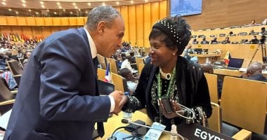 وزير الخارجية يشدد على مواصلة التفاعل البناء مع الآليات الأفريقية لحقوق الإنسان