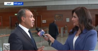 وزير الخارجية: توافق أفريقي كبير حول مبادئ مصر للسلم والأمن