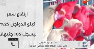 اتحاد منتجي الدواجن: الفراخ سلعة حية لا تقبل الاحتكار ويحكمها العرض والطلب