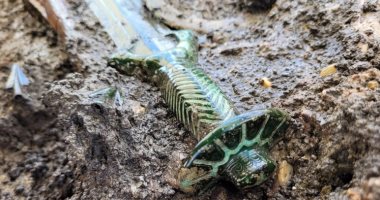 سيف عمره 3400 عام يكشف صناعة المعادن خلال العصر البرونزى