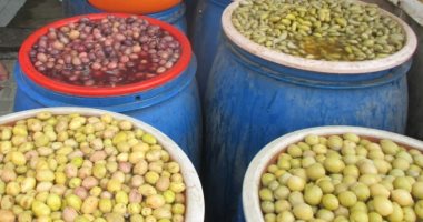 خيرات مطروح تزين موائد رمضان.. البلح وزيت الزيتون والمخلل في صدارة المشهد