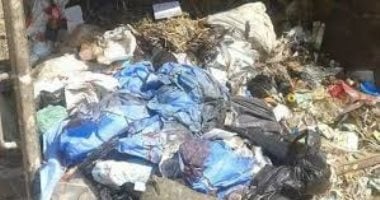 فاجعة العثور على أجنة بصندوق قمامة فى المنيا تفتح ملف النفايات الطبية.. كيف تحولت أمانة الطب لسموم بالقمامة وخطر بيولوجي يهدد حياة المئات؟.. قانون المخلفات يواجه الإهمال بالسجن المشدد وغرامات بالملايين
