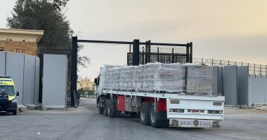 الهلال الأحمر المصرى يوفر 250 ألف سلة غذائية لغزة ضمن قافلة زاد العزة الـ140