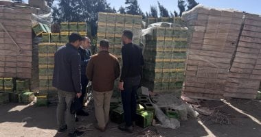 تموين المنوفية: ضبط طن ونصف زيت و23 ألف عبوة سمن نباتى مجهولة المصدر 