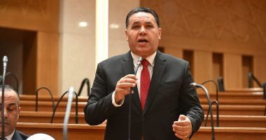 النائب عماد الغنيمى: الشركة المتحدة للخدمات الإعلامية أحد أهم أعمدة القوة الناعمة المصرية