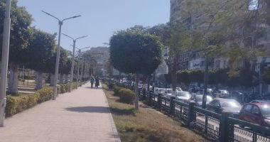 نشاط للرياح وسطوع الشمس طقس المنيا الآن.. فيديو