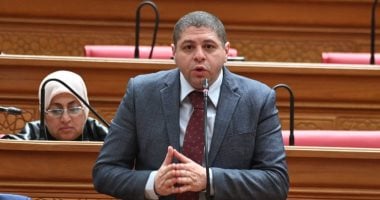 النائب أحمد جبيلى يتقدم بطلب إحاطة لتوحيد السلاسل التجارية 