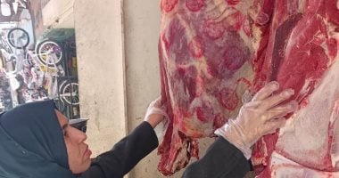 حملات تفتيشية على محلات الجزارة ومنافذ بيع اللحوم والأسماك بأسوان