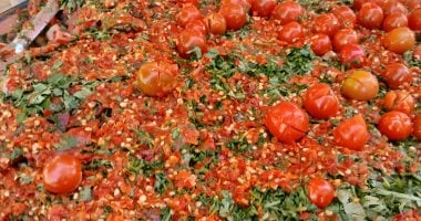 أكلت مخلل مكرونة وبطاطس وفاصوليا؟.. شوف أحلى مخللات بالإسكندرية.. فيديو