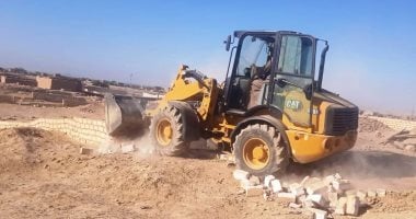 إزالة 89 حالة تعد ضمن الموجة الـ28 فى أسوان