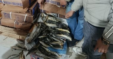 ضبط 13 طن أغذية غير صالحة للاستهلاك الآدمى فى حملة تموينية بنبروه بالدقهلية