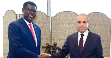 وزير الخارجية يؤكد لنظيره الجنوب سودانى أهمية تعزيز التعاون بين دول حوض النيل