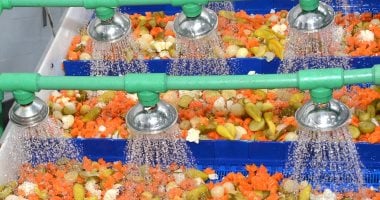 مصانع المخلل بقرية شبراتنا