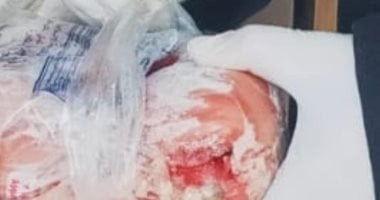 ضبط 6 أطنان دواجن وأجنحة رومى فى مجزر دواجن غير مرخص بالقناطر الخيرية