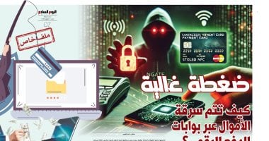 "ضغطة غالية".. "بين رسالة تحذير ورصيد صفر": كيف تُدار سرقة أموال المصريين عبر بوابات الدفع الرقمي؟.. قصص ضحايا وأرقام صادمة وتحقيق مدفوع بالبيانات يكشف الفجوة بين التوسع الرقمى وحماية الأموال