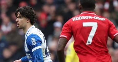 في الكورة : نتيجة مباراة برايتون ضد نوتينجهام فورست فى الدوري الإنجليزي