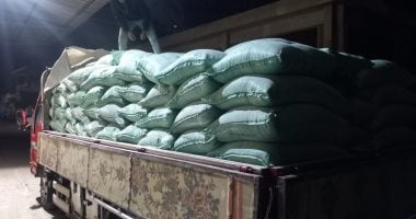 محافظ الغربية: ضبط 160 شيكارة دقيق بلدي مخصص للمخابز البلدية