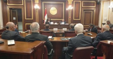 خارجية الشيوخ ترحب بوزيرة الثقافة لمناقشة القوة الناعمة.. وجيهان زكى: الثقافة فكر