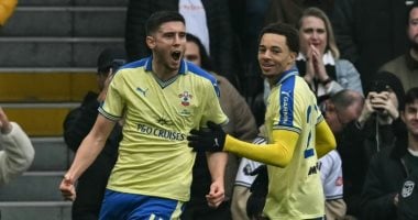 خسارة فولهام ضد ساوثهامبتون في كأس الاتحاد الإنجليزي