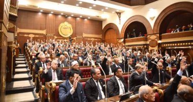 نائب بالشيوخ: تحركات الحكومة تبرز جهود الدولة لضمان استقرار الأسواق وتوافر السلع