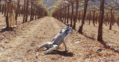 الروبوت الفلاح.. روبوت بالذكاء الاصطناعى يراقب المحاصيل ويتأكد من سلامتها