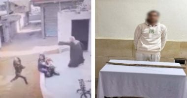 بسبب خلافات الجيرة.. القبض على عامل ظهر في فيديو ترهيب سيدة بالشرقية