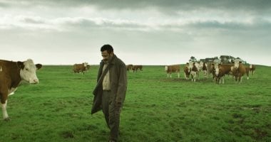 مهرجان مالمو للسينما العربية يعلن عن أفلام المسابقات فى دورته السادسة عشرة