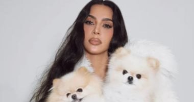 كيم كارداشيان تواجه موجة انتقادات حادة بسبب كلابها الجدد.. ما السبب؟