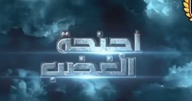 أجنحة الغضب