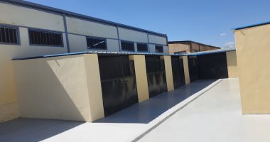 محافظ بورسعيد: قرب الانتهاء من تجهيزات إيواء الكلاب الضالة