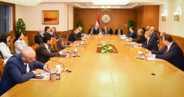 وزارة الخارجية تستضيف اجتماعا تنسيقيا لمتابعة قضايا المصريين بالخارج