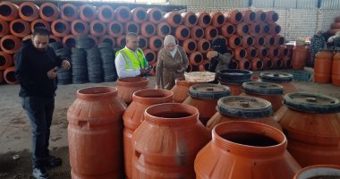 هيئة سلامة الغذاء تضبط 300 طن زيتون غير صالحة للاستهلاك الآدمى بالإسماعيلية