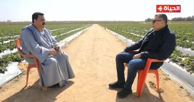 الحاج حوده زرع الصحراء وأصبح من كبار مصدري العنب.. اعرف قصته في برنامج أجمل ناس