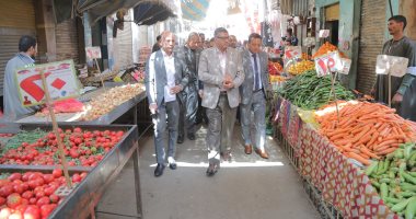 محافظ قنا يجرى جولة ميدانية مفاجئة لمتابعة أسعار السلع الغذائية