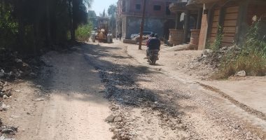 رصف الطرق بالإنترلوك ورفع كفاءة طرق قرية وتركيب كابلات الفايبر بشوارع كفر الشيخ