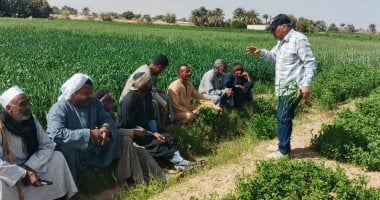 زراعة الأقصر تطلق مشروع مسقى "الريقية" لتحسين منظومة الرى.. التفاصيل
