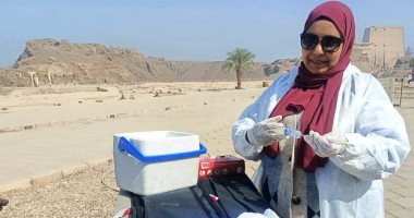 تطعيم 319 كلب ضال ضد السعار فى 22 منطقة بأسوان