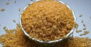 علماء هنود يطورون أرزًا معدلاً وراثيًا لمكافحة مرض السكر وسوء التغذية